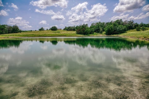 Photo of 9909 Latium Cemetery Rd - Tract 4 RD, Burton, TX 77835 (MLS # 14306113)