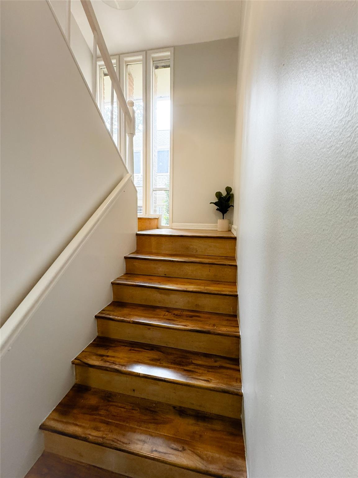 637 S Ripple Creek Drive 637