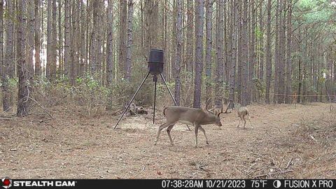 Vacant Land For Sale - 350 Williamson Way<br/> Lovelady, TX 75851