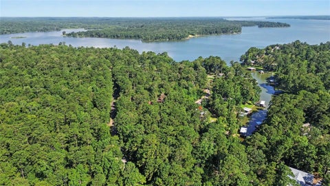 Tiny photo for 20 Lower Cove Drive, Point Blank, TX 77364 (MLS # 51080898)