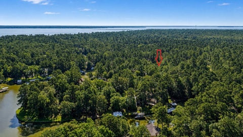 Tiny photo for 20 Lower Cove Drive, Point Blank, TX 77364 (MLS # 51080898)