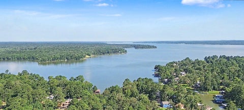Tiny photo for 20 Lower Cove Drive, Point Blank, TX 77364 (MLS # 51080898)