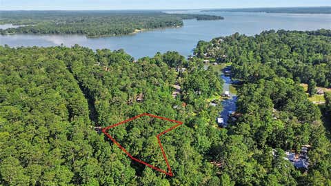 Photo of 20 Lower Cove Drive, Point Blank, TX 77364 (MLS # 51080898)