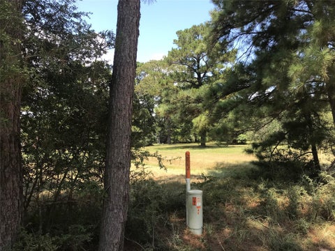 Photo of 12 Cedar Springs, Trinity, TX 75862 (MLS # 63478070)