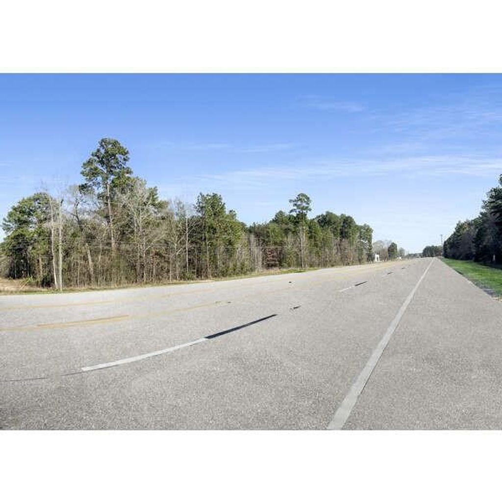 Photo of 19571 Fm 1314 Road, Porter, TX 77365 (MLS # 77600090)