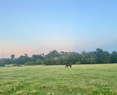 75 ACRES Spring Branch Road Montgomery TX 77316