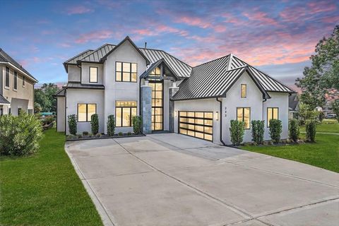 233 Blue Heron Drive Montgomery TX 77316