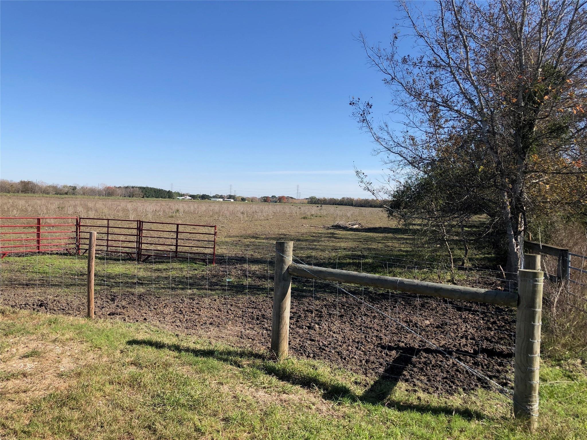 00 Dannhaus Road