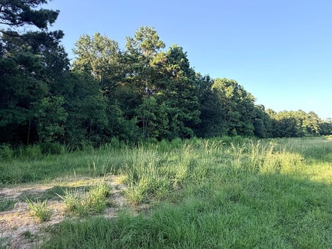 Photo of TBD County Road 3114, Buna, TX 77612 (MLS # 23623368)