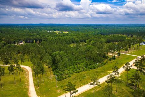 Tiny photo for TBA Red Lowe Road, Livingston, TX 77351 (MLS # 96047162)