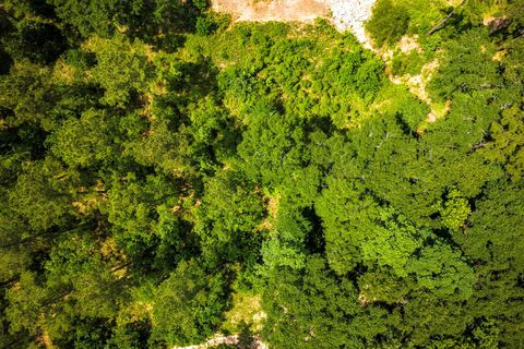 Tiny photo for TBA Red Lowe Road, Livingston, TX 77351 (MLS # 96047162)