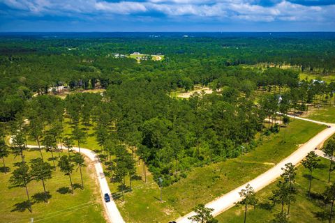 Tiny photo for TBA Red Lowe Road, Livingston, TX 77351 (MLS # 96047162)