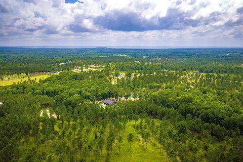 Tiny photo for TBA Red Lowe Road, Livingston, TX 77351 (MLS # 96047162)