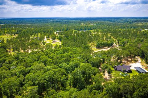 Tiny photo for TBA Red Lowe Road, Livingston, TX 77351 (MLS # 96047162)