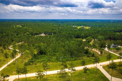 Tiny photo for TBA Red Lowe Road, Livingston, TX 77351 (MLS # 96047162)