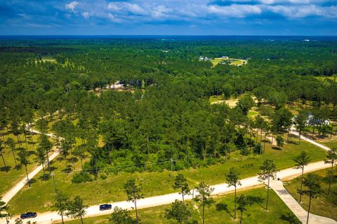 Tiny photo for TBA Red Lowe Road, Livingston, TX 77351 (MLS # 96047162)