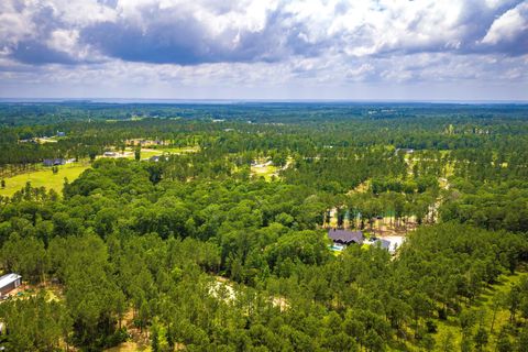 Tiny photo for TBA Red Lowe Road, Livingston, TX 77351 (MLS # 96047162)