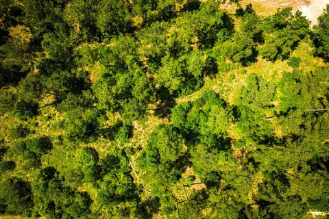 Tiny photo for TBA Red Lowe Road, Livingston, TX 77351 (MLS # 96047162)