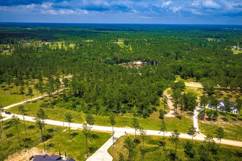 Tiny photo for TBA Red Lowe Road, Livingston, TX 77351 (MLS # 96047162)