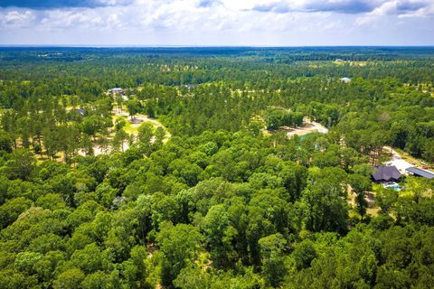 Tiny photo for TBA Red Lowe Road, Livingston, TX 77351 (MLS # 96047162)