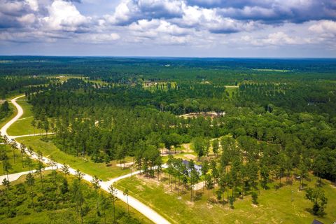 Tiny photo for TBA Red Lowe Road, Livingston, TX 77351 (MLS # 96047162)