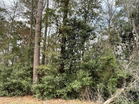 Vacant Land For Sale - Codner Drive<br/> Shepherd, TX 77371