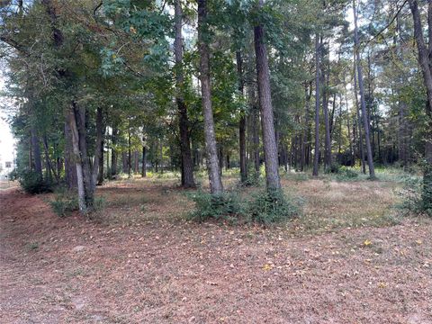 0 Little Egypt Road Conroe TX 77304