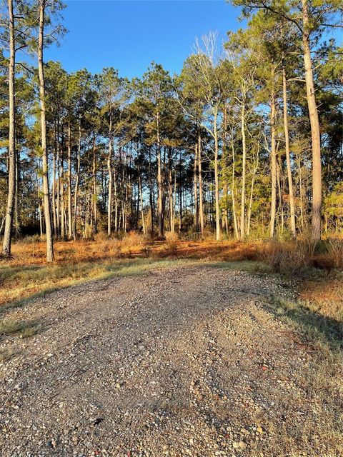 11309 Annie Creek Drive Willis TX 77378