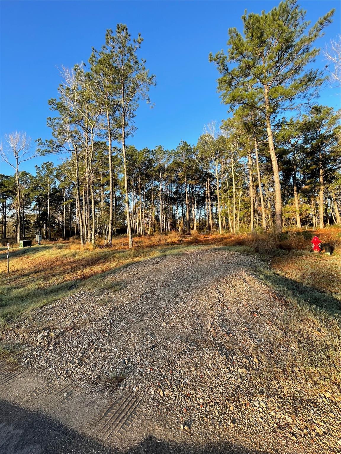 11309 Annie Creek Drive