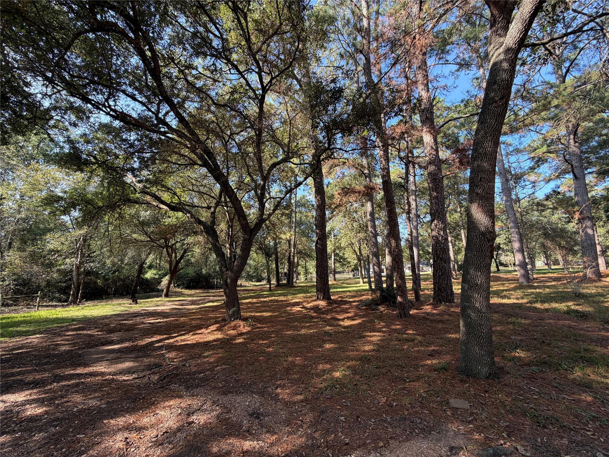 303 W Rollingwood Street