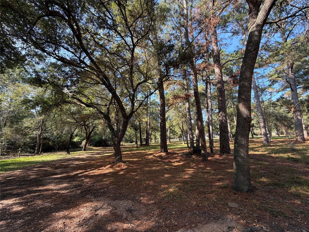 Photo of 303 W Rollingwood Street, Pinehurst, TX 77362 (MLS # 73674649)