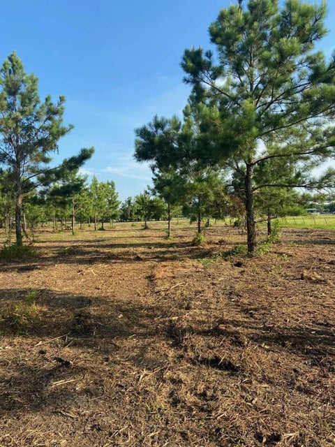 Photo of 5510 County Road 602, Dayton, TX 77535 (MLS # 57221498)