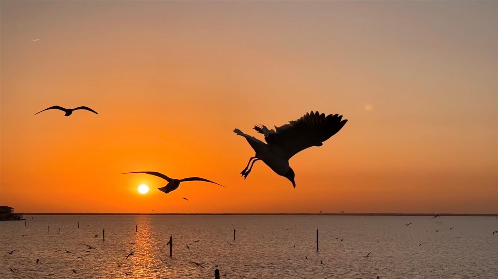 438 Jeanie Lynn Street