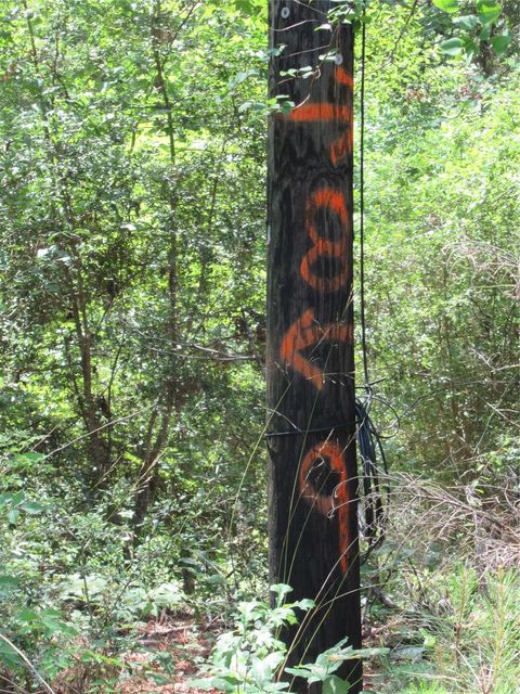 Photo of 337 Noel, Livingston, TX 77351 (MLS # 12870698)