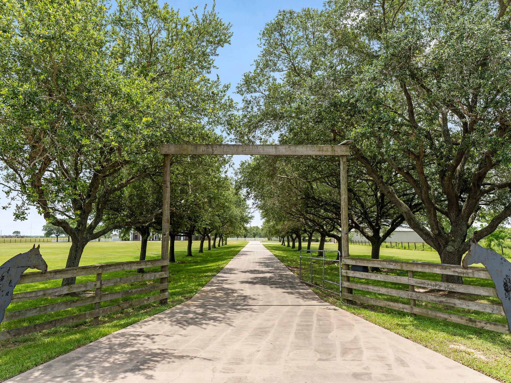 2976 County Road 218