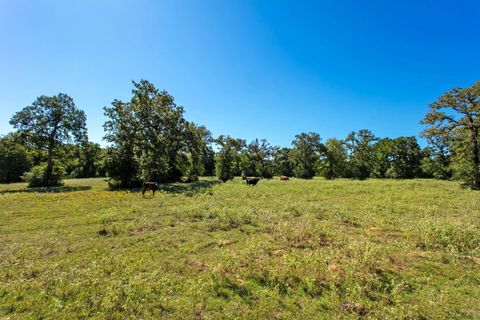 Photo of 11041 Jackrabbit Lane, Bryan, TX 77808 (MLS # 80407273)