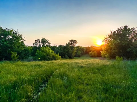 Photo of 0 County Road 855, Teague, TX 75860 (MLS # 82961975)
