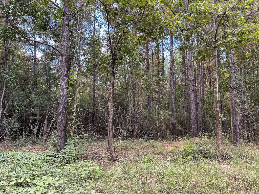 Photo of TBD Cr 4700, Fred, TX 77616 (MLS # 42135434)