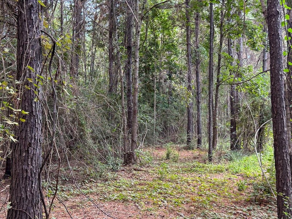 Photo of TBD Cr 4700, Fred, TX 77616 (MLS # 42135434)