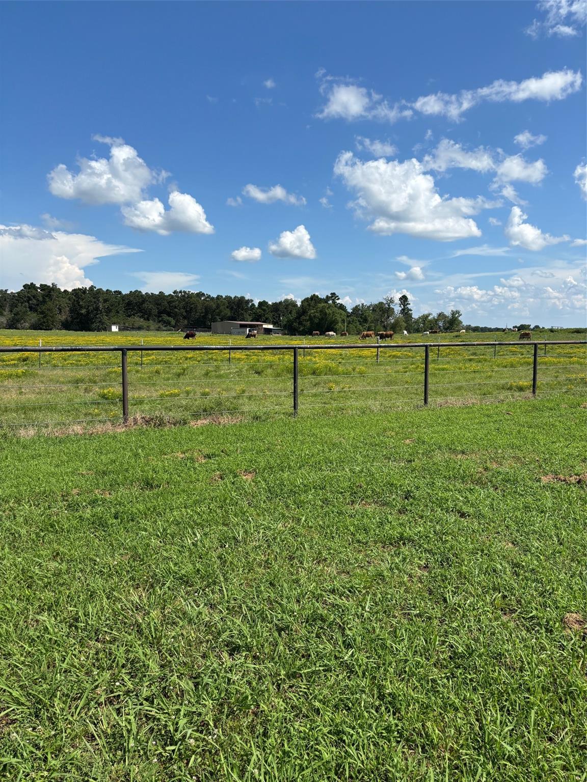 585 Industrial Park Boulevard