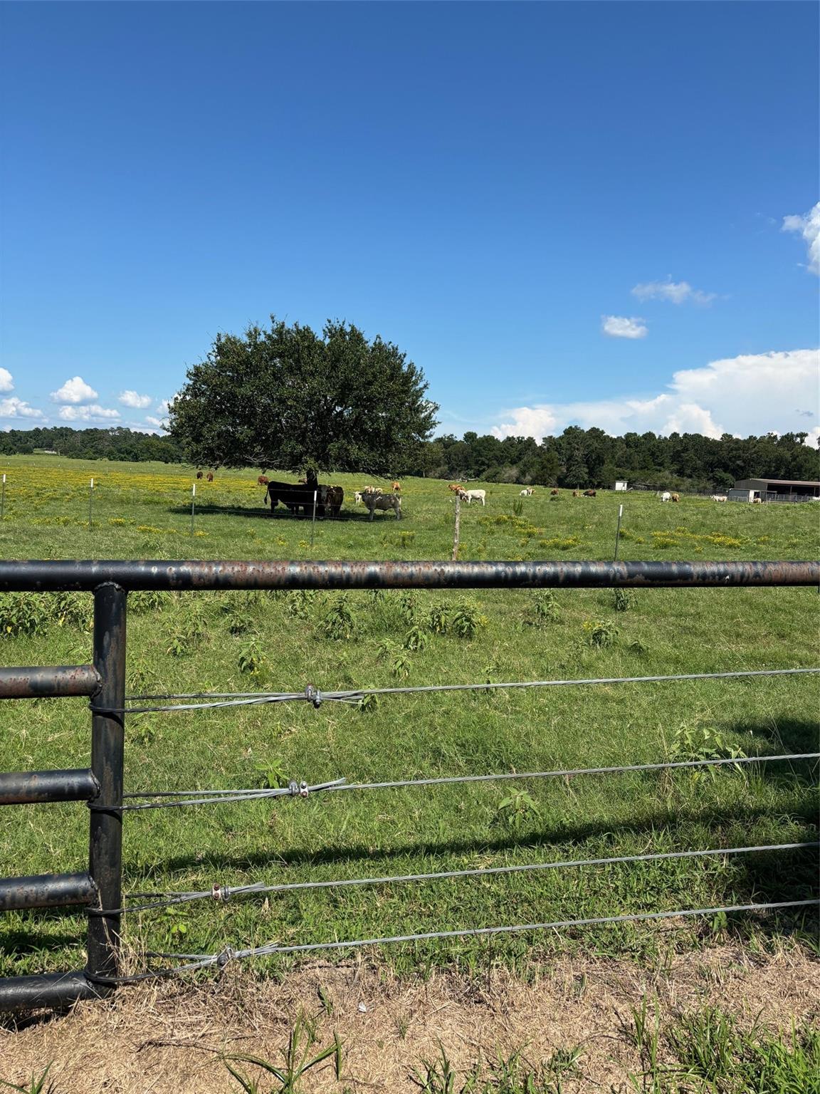 585 Industrial Park Boulevard