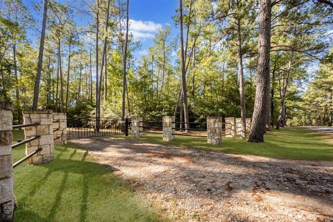 22 Mount Zion Road New Waverly TX 77358