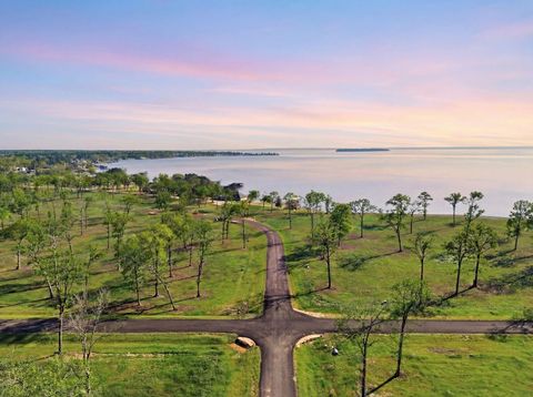 Vacant Land For Sale - LOT 6 Island View<br/> Livingston, TX 77351