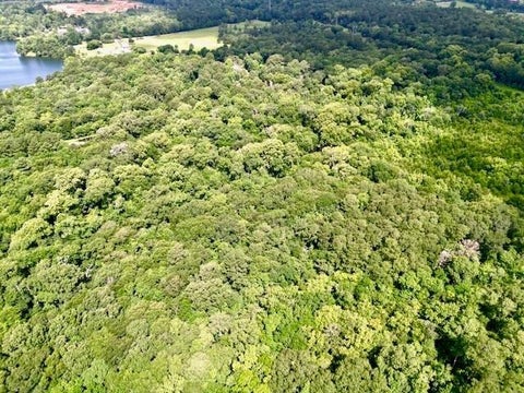Vacant Land For Sale - Arlene Lane<br/> Cleveland, TX 77327