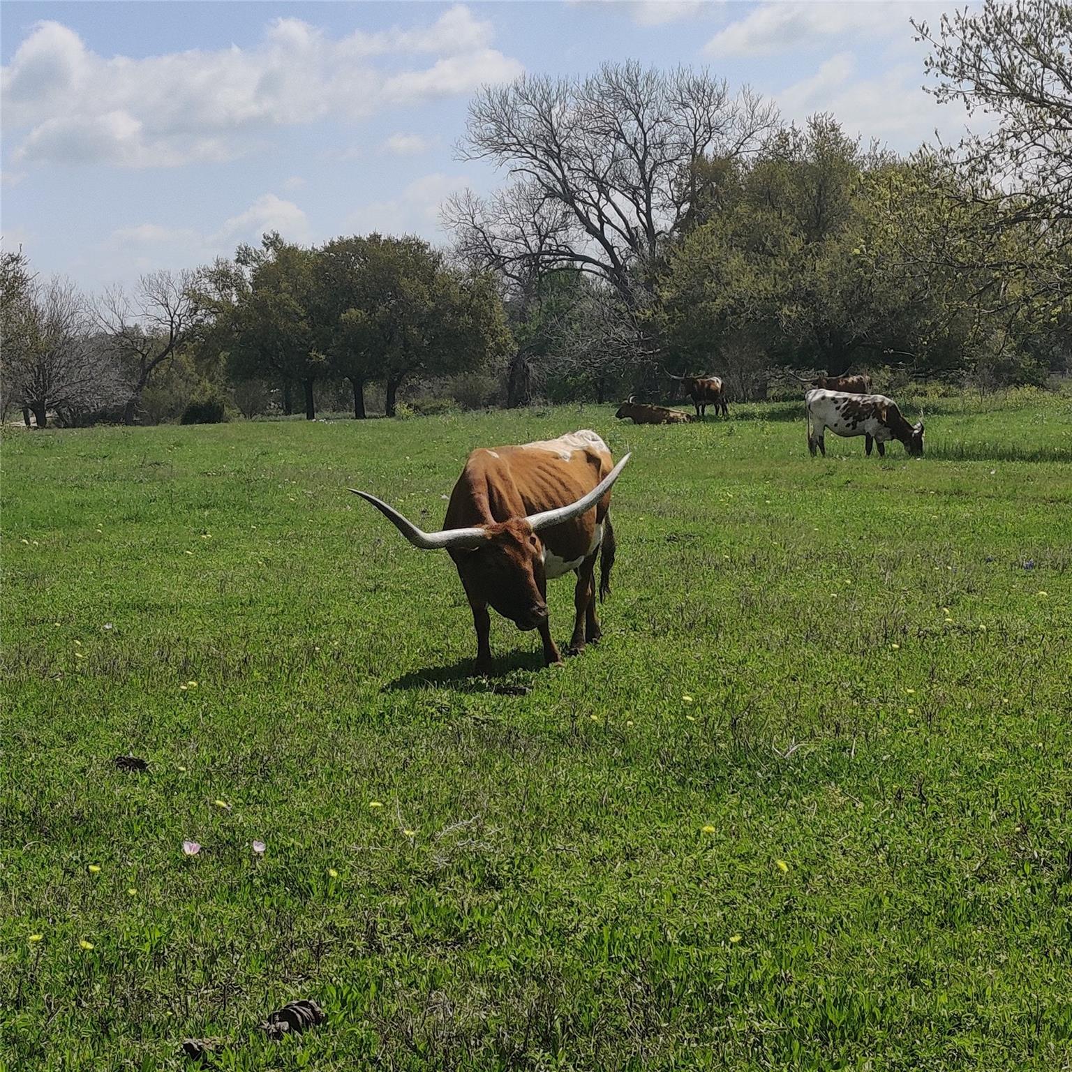 220 Private Road 16025