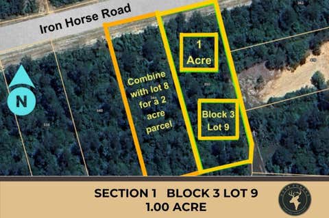 Photo of 350 Iron Horse Road, Willis, TX 77378 (MLS # 78765001)