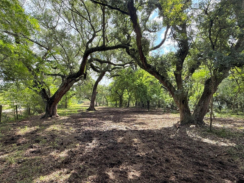 Photo of 6833 Bryan Road, Jones Creek, TX 77541 (MLS # 41333788)
