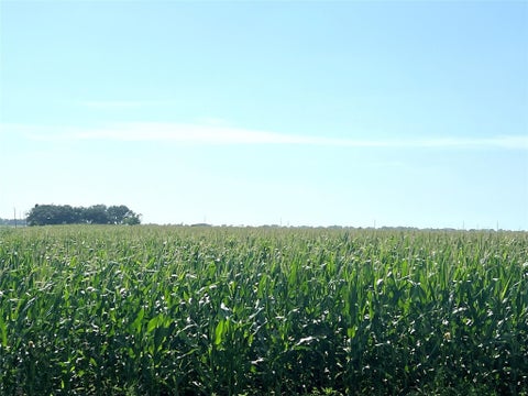 Photo of 0 County Road 403, El Campo, TX 77437 (MLS # 36480284)