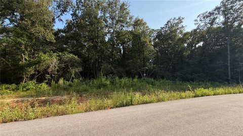 Photo of 217 Kings Court, Dayton, TX 77535 (MLS # 38983181)