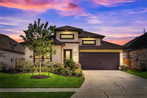 30706 Southern Dewberry Court Fulshear TX 77441